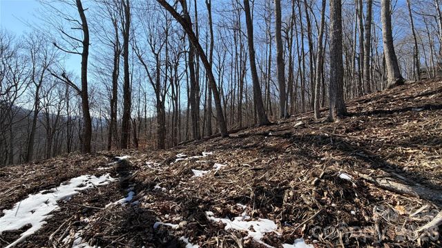 000 Fox Den Road 109, Mars Hill, NC 28754