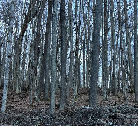 000 Fox Den Road 109, Mars Hill, NC 28754