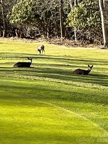 000 Fox Den Road 109, Mars Hill, NC 28754