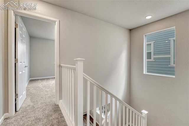 16363 Rustlers Range Point, Monument, CO 80132