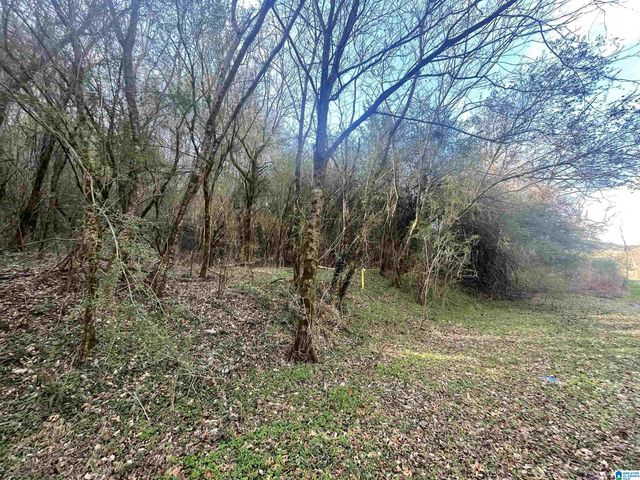 4380 CHERRY AVENUE, Graysville, AL 35073