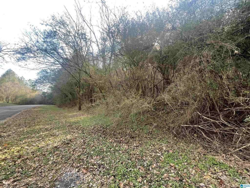 4380 CHERRY AVENUE, Graysville, AL 35073