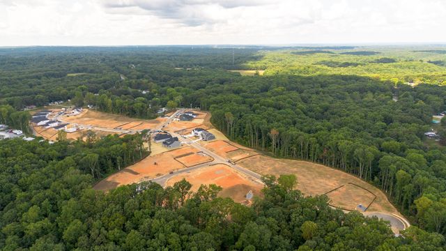 7245 Brush Creek Lane, Fairview, TN 37062