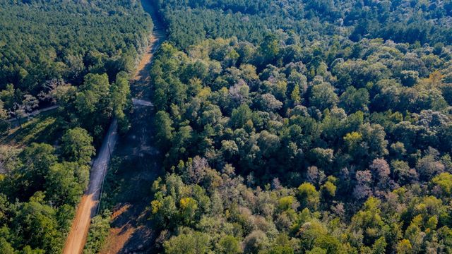 TBD E Slumberlane Drive, Livingston, TX 77351