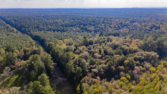 TBD E Slumberlane Drive, Livingston, TX 77351