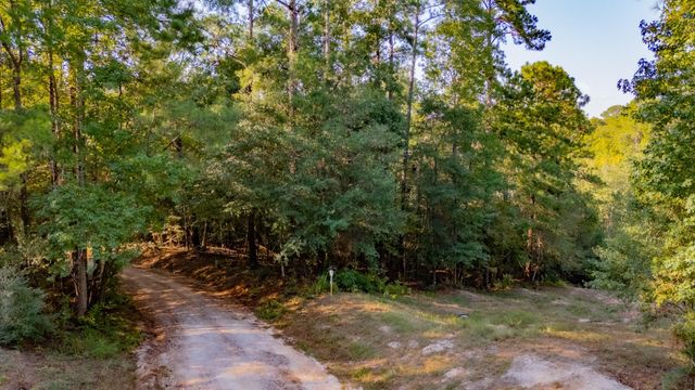 TBD E Slumberlane Drive, Livingston, TX 77351