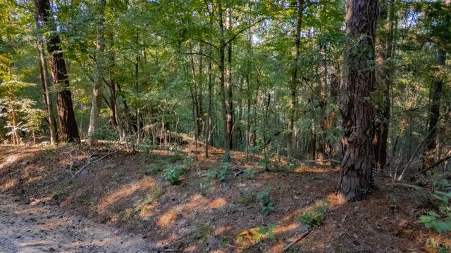 TBD E Slumberlane Drive, Livingston, TX 77351
