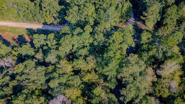 TBD E Slumberlane Drive, Livingston, TX 77351