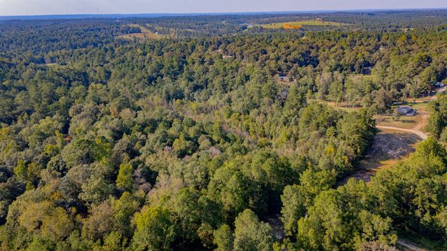 TBD E Slumberlane Drive, Livingston, TX 77351