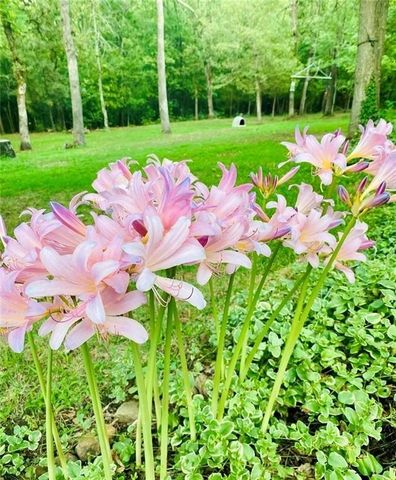 32688 Highway 295, Hindsville, AR 72738