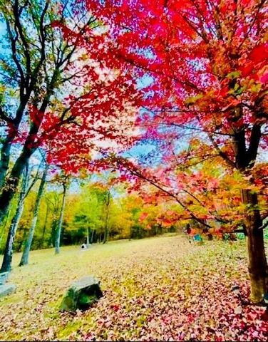 32688 Highway 295, Hindsville, AR 72738