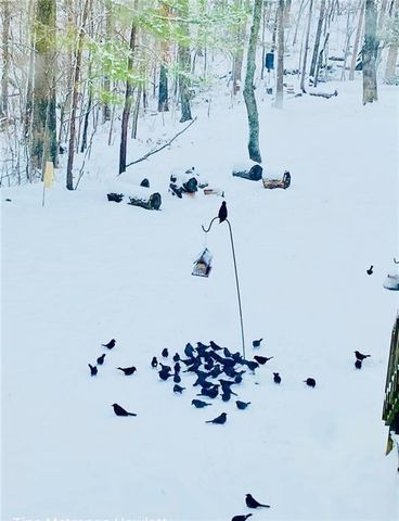 32688 Highway 295, Hindsville, AR 72738