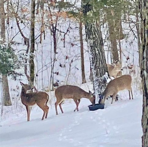 32688 Highway 295, Hindsville, AR 72738