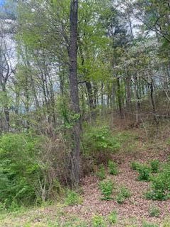 2624 Hixson Pike, Chattanooga, TN 37415