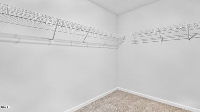 2218 Redpoll Drive, Apex, NC 27539