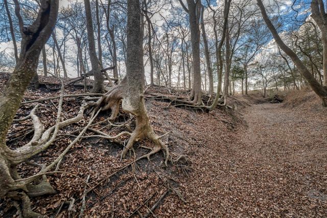 6807 Winedale Road, Burton, TX 77835