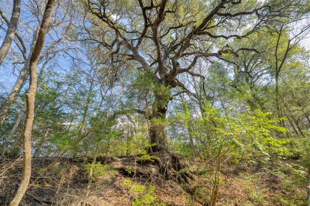 6807 Winedale Road, Burton, TX 77835