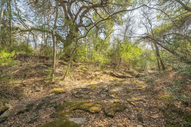 6807 Winedale Road, Burton, TX 77835