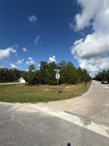 0 FISHER TER RUN, Ocklawaha, FL 32179