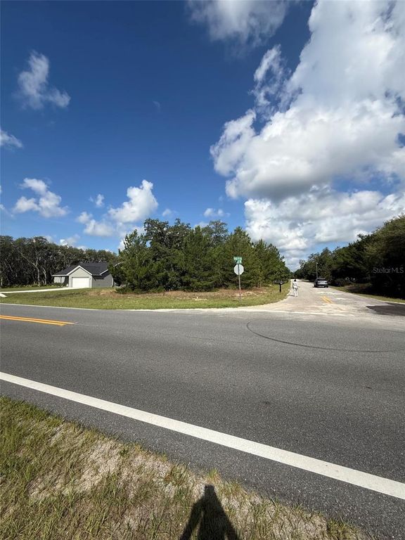 0 FISHER TER RUN, Ocklawaha, FL 32179