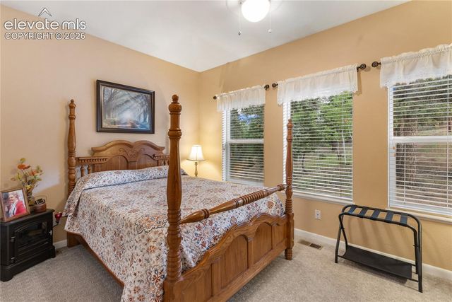 185 Bear Lake Circle, Divide, CO 80814
