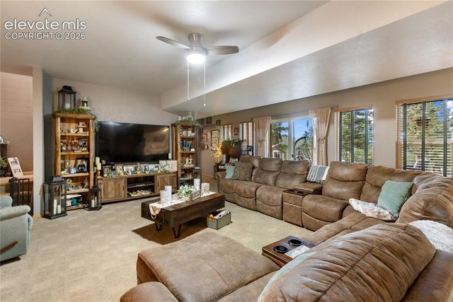 185 Bear Lake Circle, Divide, CO 80814