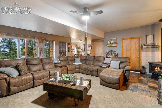185 Bear Lake Circle, Divide, CO 80814