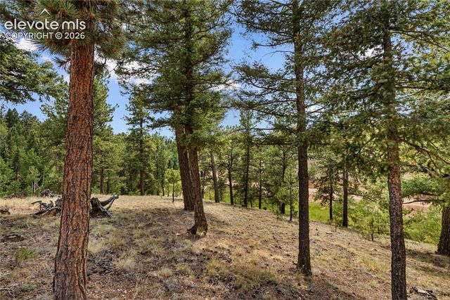 185 Bear Lake Circle, Divide, CO 80814