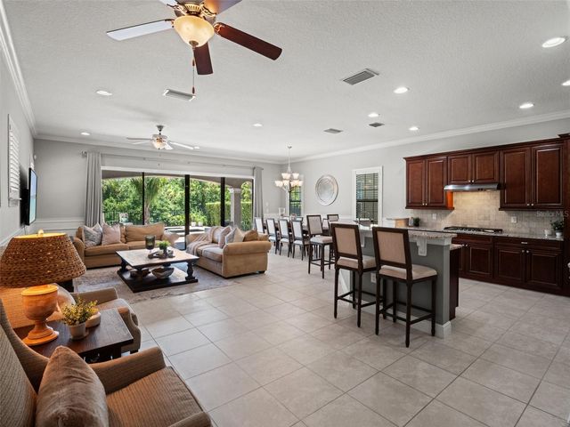 1045 CASTLE PINES COURT, Reunion, FL 34747