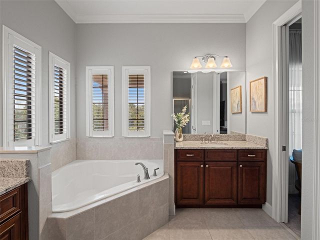 1045 CASTLE PINES COURT, Reunion, FL 34747