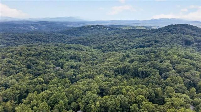 648 Stuart Mountain Road, Mineral Bluff, GA 30559