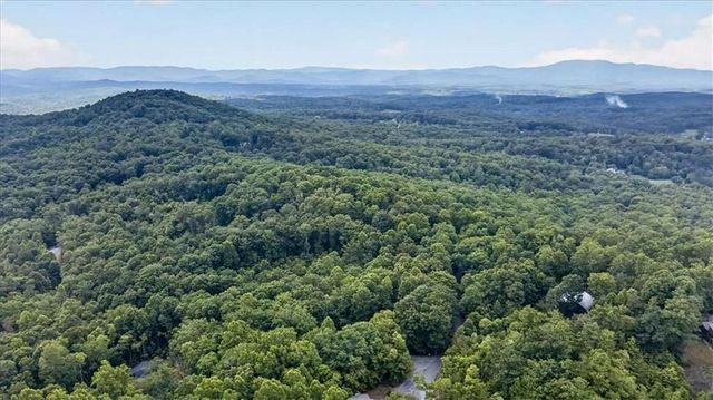 648 Stuart Mountain Road, Mineral Bluff, GA 30559