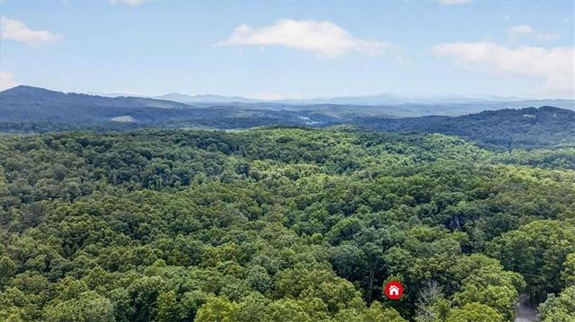 648 Stuart Mountain Road, Mineral Bluff, GA 30559
