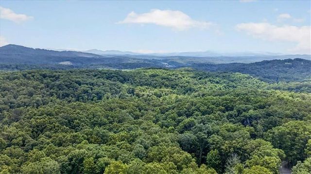 648 Stuart Mountain Road, Mineral Bluff, GA 30559