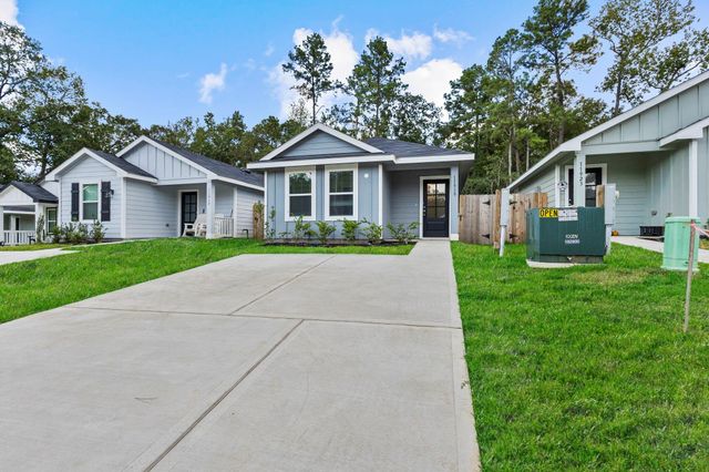 11919 Detar Court, Willis, TX 77378