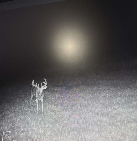 10001 Pioneer Road, Osseo, MI 49266