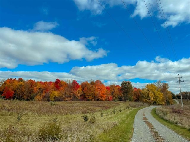 10001 Pioneer Road, Osseo, MI 49266