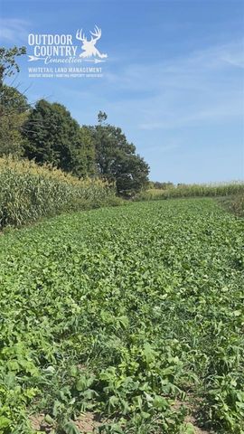 10001 Pioneer Road, Osseo, MI 49266