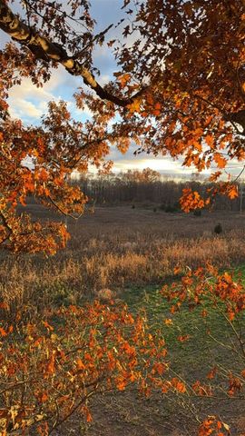 10001 Pioneer Road, Osseo, MI 49266