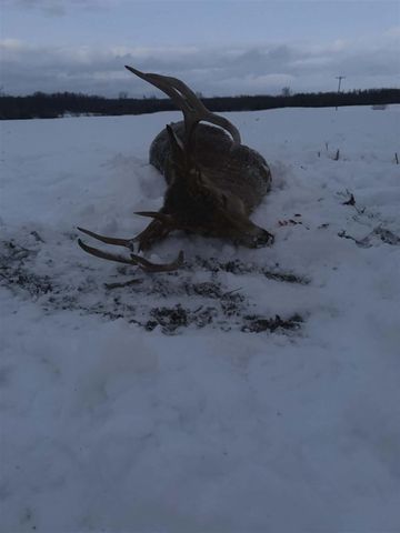 10001 Pioneer Road, Osseo, MI 49266