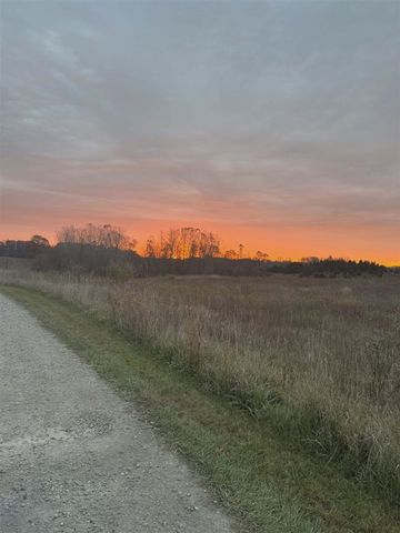 10001 Pioneer Road, Osseo, MI 49266