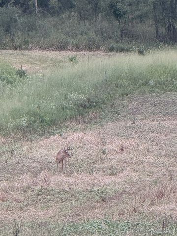 10001 Pioneer Road, Osseo, MI 49266