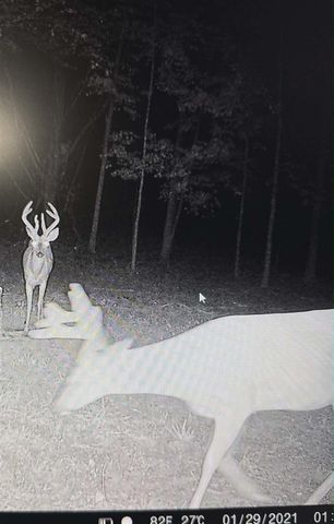 10001 Pioneer Road, Osseo, MI 49266