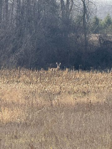 10001 Pioneer Road, Osseo, MI 49266