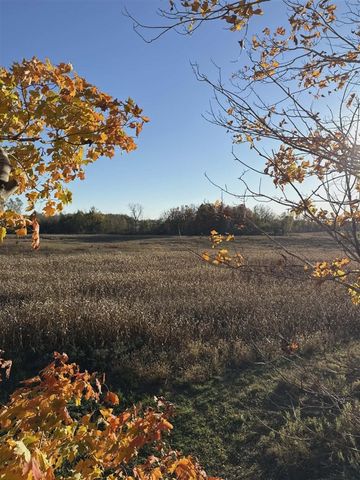 10001 Pioneer Road, Osseo, MI 49266