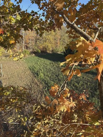 10001 Pioneer Road, Osseo, MI 49266