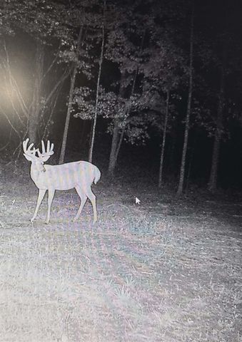 10001 Pioneer Road, Osseo, MI 49266