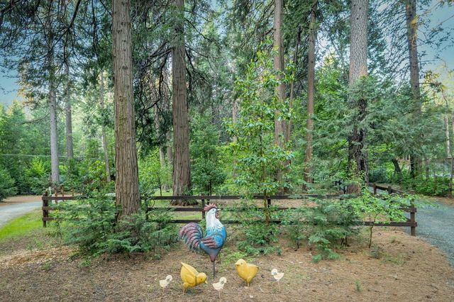 15188 N Bloomfield Rd, Nevada City, CA 95959