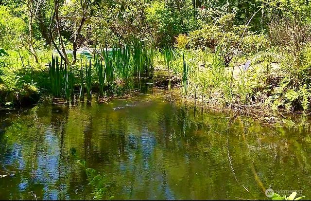 34502 SE 325th Street, Ravensdale, WA 98051