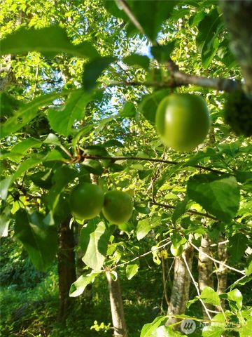 34502 SE 325th Street, Ravensdale, WA 98051